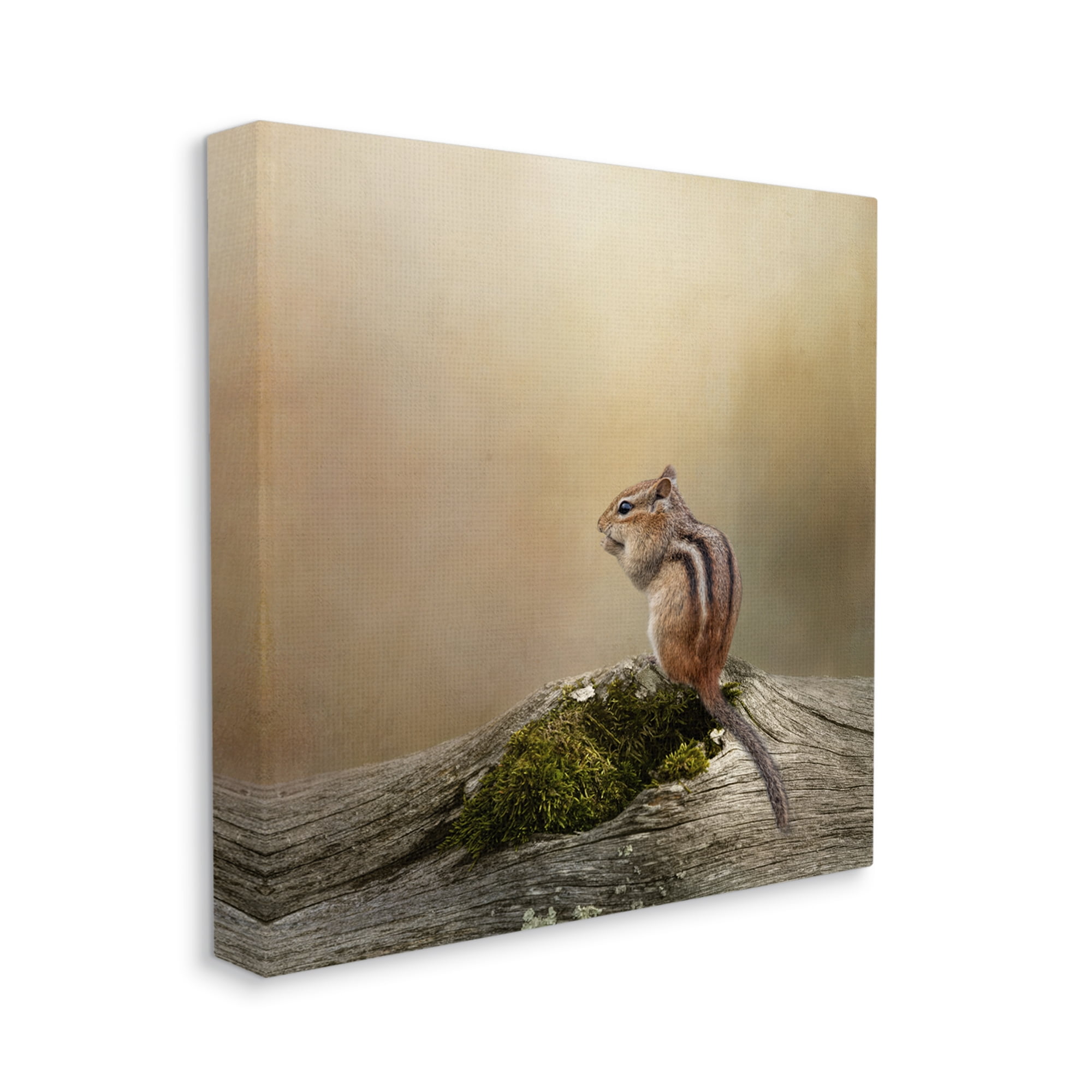 Stupell Chipmunk Peaceful Woodland Nature Animals & Insects Photography Gallery Wrapped Canvas Print Wall Art
