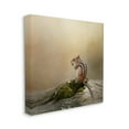 thumbnail image 3 of Stupell Chipmunk Peaceful Woodland Nature Animals & Insects Photography Gallery Wrapped Canvas Print Wall Art, 3 of 7