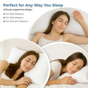 Lux Decor Collection Bed Pillows for Sleeping - Plush Pillows for bed - King Pillows 2-pack