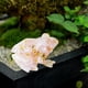 thumbnail image 4 of Decoración del hogar, decoración de habitaciones, decoración de paredes, adornos de jardín, ranas para decoración de jardín, decoraciones para peceras, adornos de ranas de goma, 4 of 6