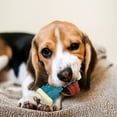 thumbnail image 5 of MASBRILL Interactive Dog Chew Toy-Brightly Colored Dog Enrichment Toy for Aggressive Chewers-Dark Green, 5 of 9