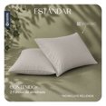 thumbnail image 3 of Fundas de Almohada Estándar Esquimal Lyocell 2 Piezas Color Khaki, 3 of 8