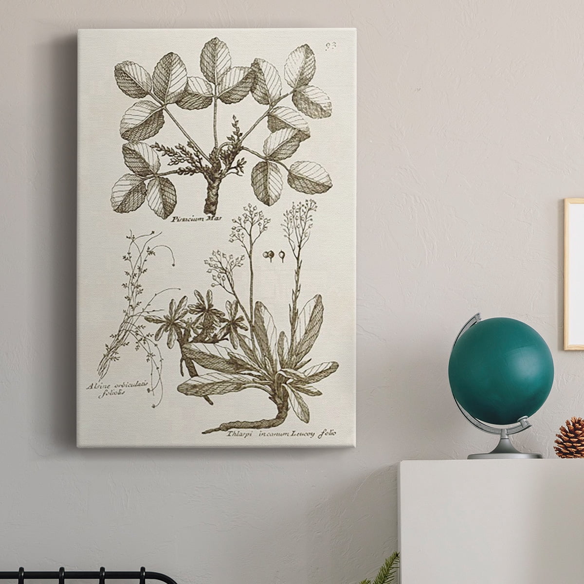 Sepia Botanical Journal VI Premium Gallery Wrapped Canvas - Ready to Hang