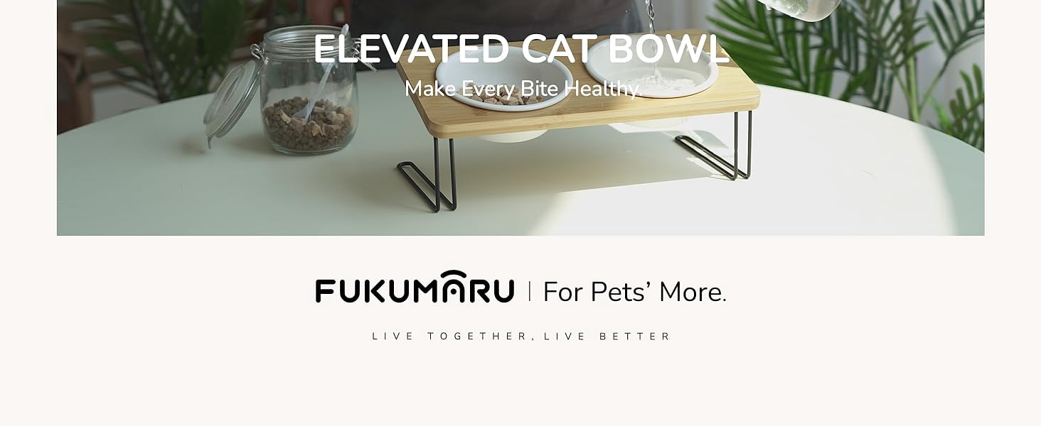 Pet Daily Kit Ceramic bowls elevated for Pets, Solid bamboo Water stand feeder