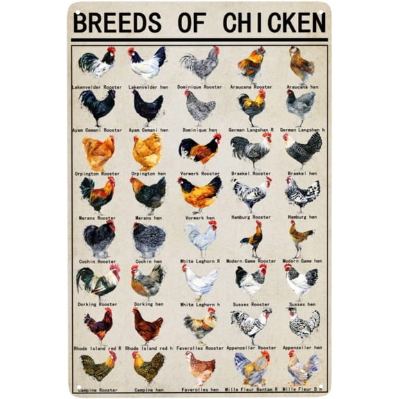 8x12 Inch Chicken Breeds Education Metal Tin Sign, World Science Classroom Chart Retro Wall Decor, Home School Study Room Gift