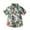 Green, variant on RTKFRFLM Boys' Summer Hawaiian Vacation Shirt Fashionable Tropical Floral Print Short Sleeve Collared Top Casual Beach Holiday Button Down Blouse Lightweight Stylish Travel Size 5-16 Years