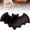 Bat, variant on Ghost Bat Pumpkin Shaped Serving Tray 3Pcs Plastic Snack Plates Party Decor