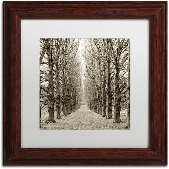 Trademark Fine Art "Hampton Gates Promenade III" Canvas Art by Alan Blaustein, White Matte, Wood Frame