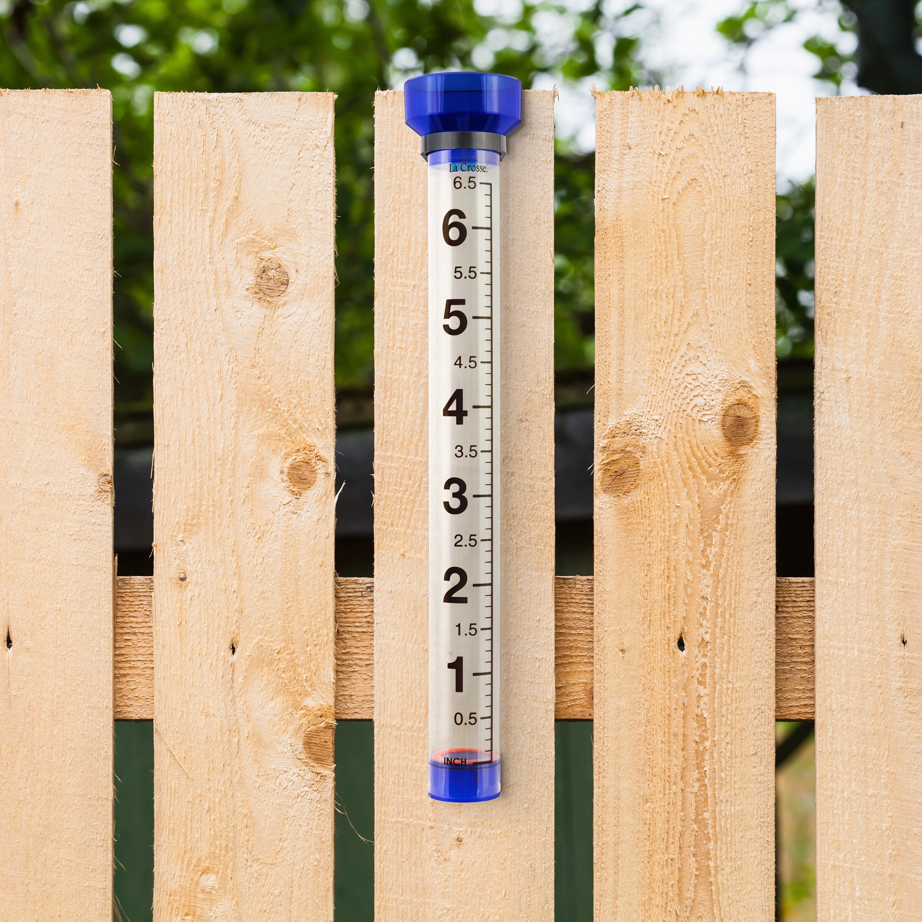 La Crosse 704-1549 6.5 inch capacity Jumbo Plastic Rain Gauge