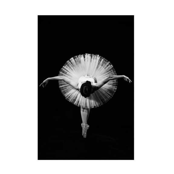 Trademark Fine Art Pattanawit Suntiniwat Finale Canvas Wall Art