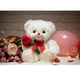 thumbnail image 2 of Oso de peluche HollyHome, oso rosa, 30 cm, blanco, 2 of 8
