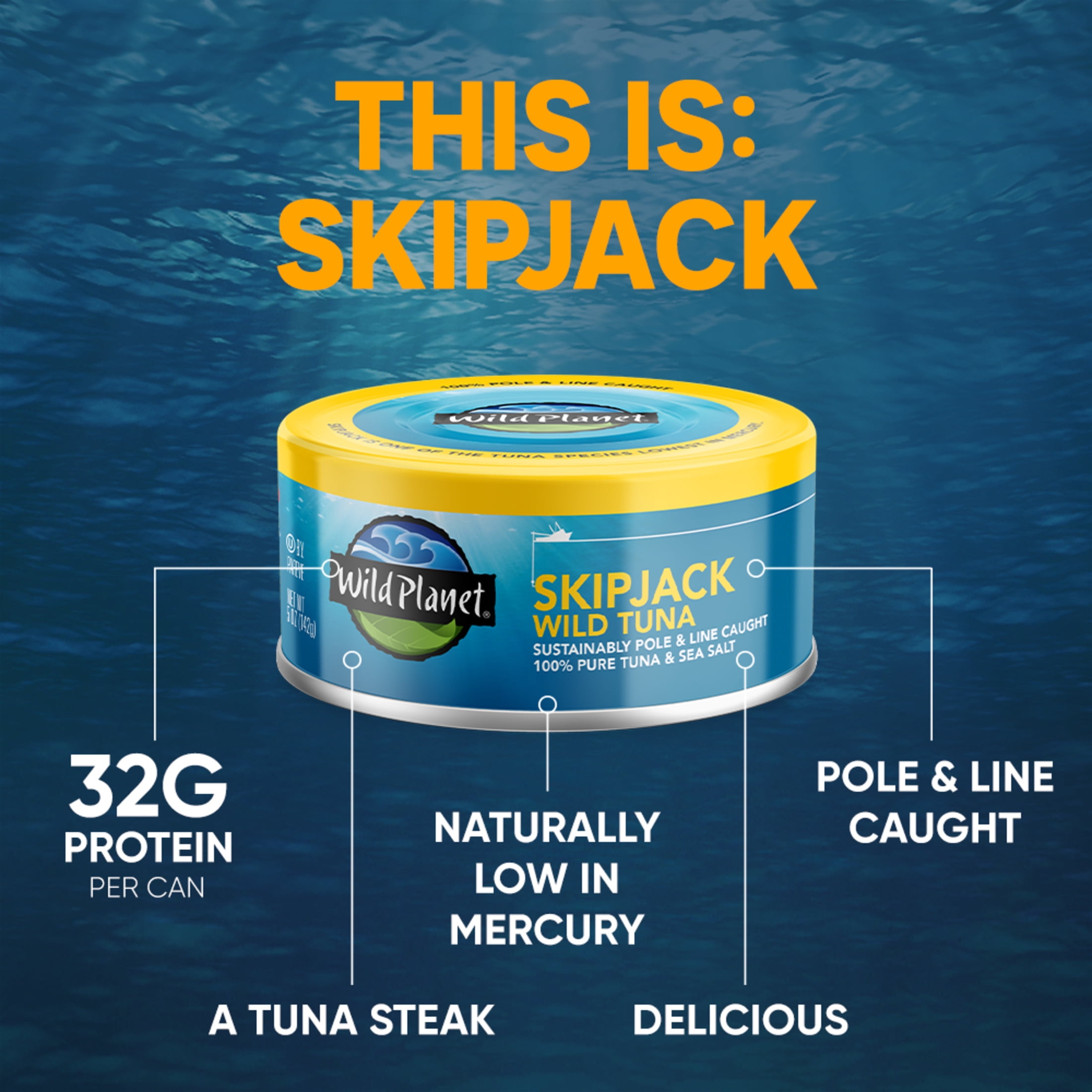 Wild Planet Skipjack Wild Caught Tuna with Sea Salt, 5 oz Can