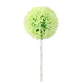 thumbnail image 3 of Lawn Light,Solar Outdoor Garden Road Lights Decoration,Outdoor Simulated Rime Decorative Lights,Lawn Pathway Lamps Yard LED Lights Patio,Yard Lamp Stake Head Soledad luz del césped, 3 of 10