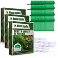 thumbnail image 1 of 60x Keep Mice Out For House Peppermint Oil For Mice And Rats Mouse Squirrel Home, 1 of 5