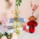 thumbnail image 4 of 5PCS Plant Propagation Station, for Plants, Small Glass Vase, 4 of 5
