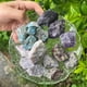 thumbnail image 4 of gota08, 4 of 6