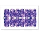 thumbnail image 1 of Ganfancp 12 Uñas de Color con Uñas Llenas Pegatinas Diy Uñas Embalaje Pegatinas Decoración Liquidación Ventas Hoy Ofertas Prime 1X Pegatina, 1 of 1