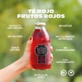 thumbnail image 4 of Natures Factory Té Rojo Sabor  Frutos Rojos Sin Azúcar 12 Piezas Natures Factory Natures Factory Té Rojo Sabor Frutos Rojos, 4 of 5