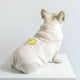 thumbnail image 3 of Pantalones fisiológicos para perros, período menstrual, pantalones de menstruación, pantalones de cortesía, Keji Teddy Fadou, pantalones fisiológicos para mascotas, correa, 3 of 4