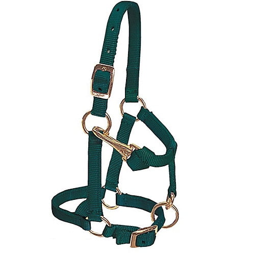 Weaver Mini Adj Nylon Halter Brass Lrg Mini Hunter