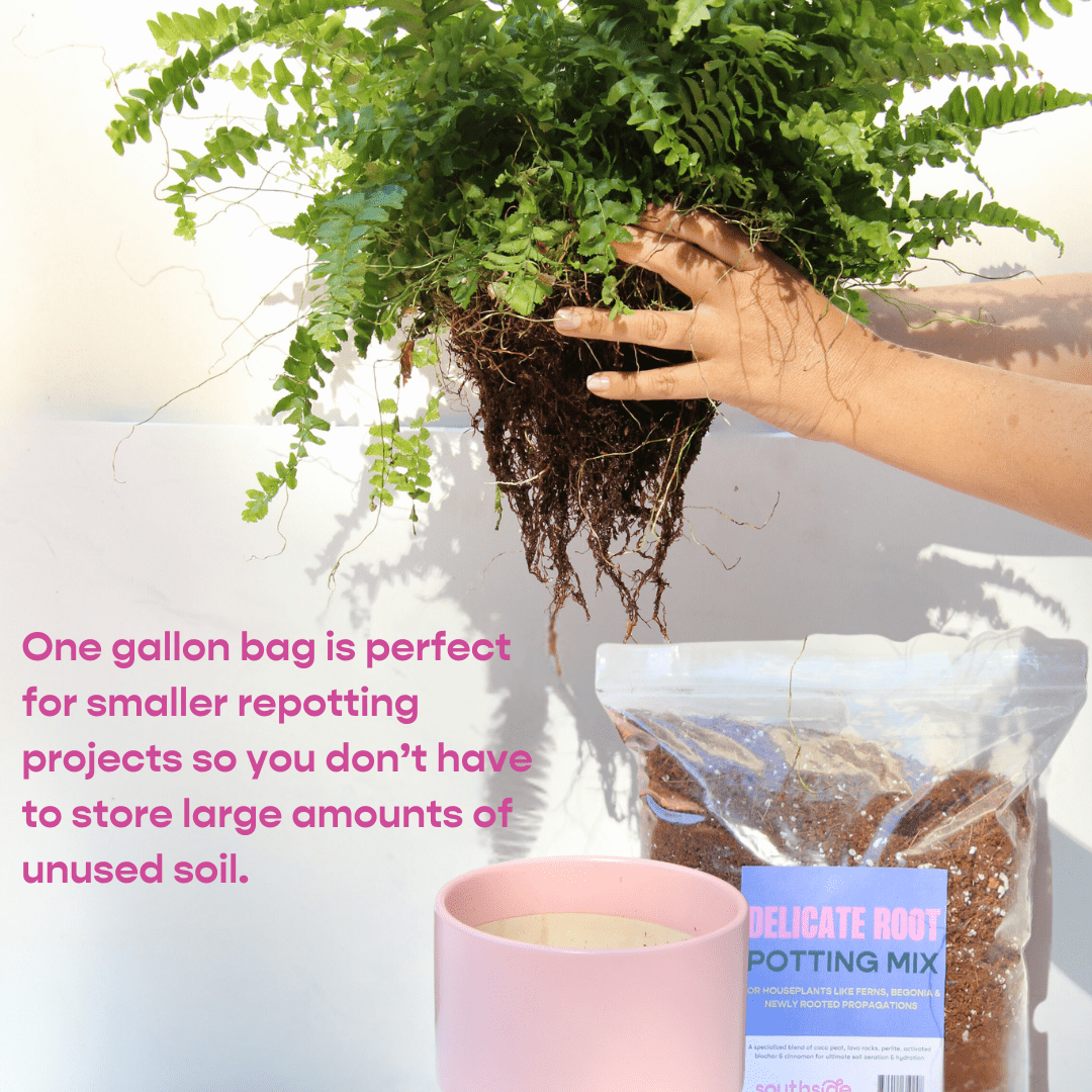 Delicate Root Potting Mix - Organic Mix of Coconut Chips, Coir, Horticultural Charcoal & Chunky Perlite