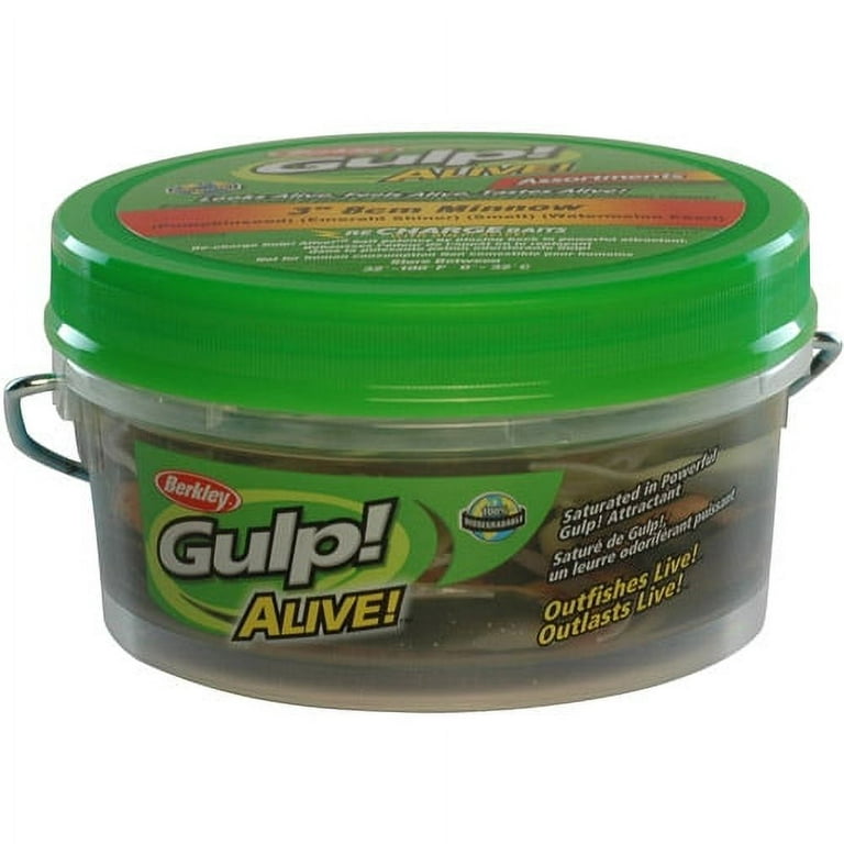 Berkley Gulp! Alive! Minnow Jar - Green Shiner - 1