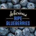 thumbnail image 3 of 2X-Private Selection Blueberry Preserves - 13 oz, 3 of 4