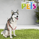 thumbnail image 4 of ARNES MED ROJO BERRYDOG P/MASCOTA Fancy Pets FL9545, 4 of 4