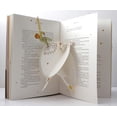 thumbnail image 3 of Libro PRINCIPITO EL Salamandra Pop-up Ilustraciones desplegables, 3 of 4