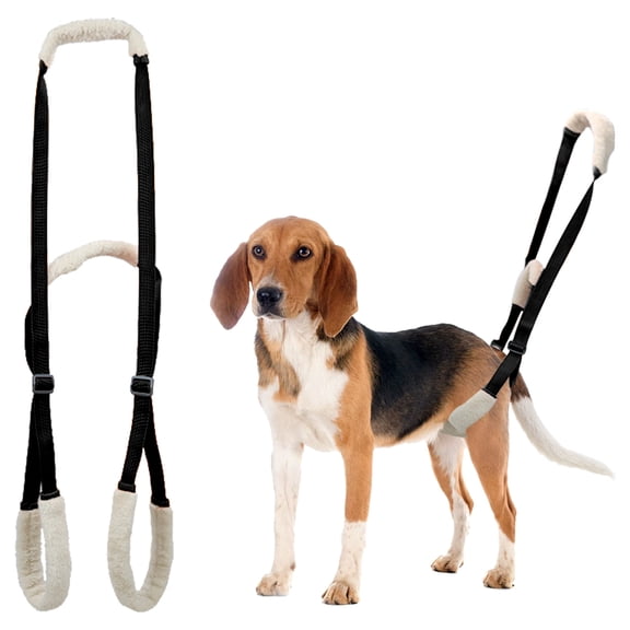 Duuclume Dog Support Harness for Back Legs, Dog Rear Leg Support Lifting Sling with Handle and Shoulder Strap Orange Black