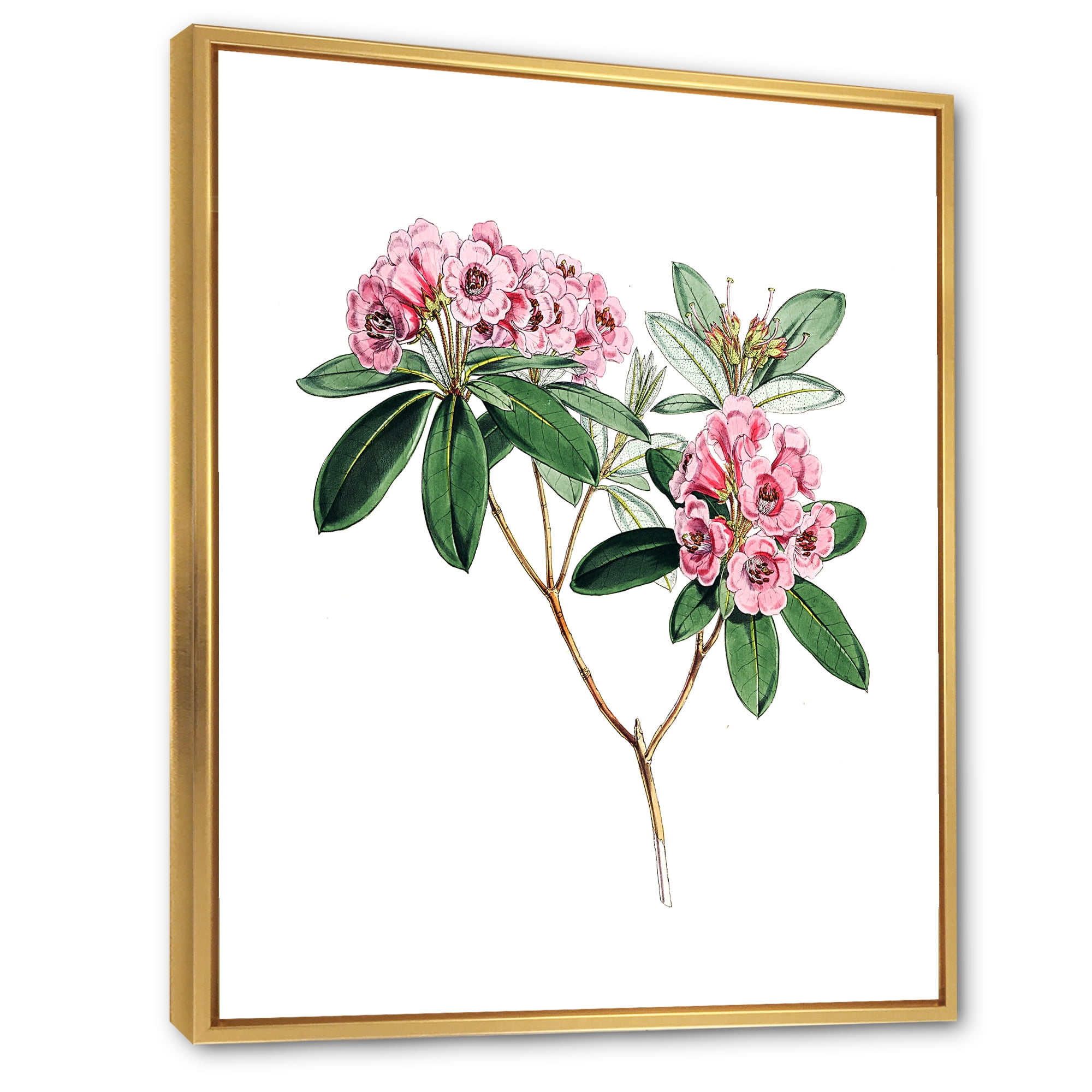 Designart 'Ancient American Flora II' Traditional Framed Canvas Wall Art Print