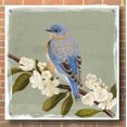 thumbnail image 3 of Epic Art 'Bluebird Branch II' by Victoria Borges, Acrylic Glass Wall Art, 36"x36", 3 of 7