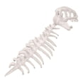 thumbnail image 1 of Disfraz de esqueleto de dinosaurio para Halloween, ideal para fiestas temáticas de disfraces y juegos de rol realistas. Blanco, 1 of 10