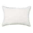 Allerease Spa Comfort Zippered Pillow Protector, Standard/Queen