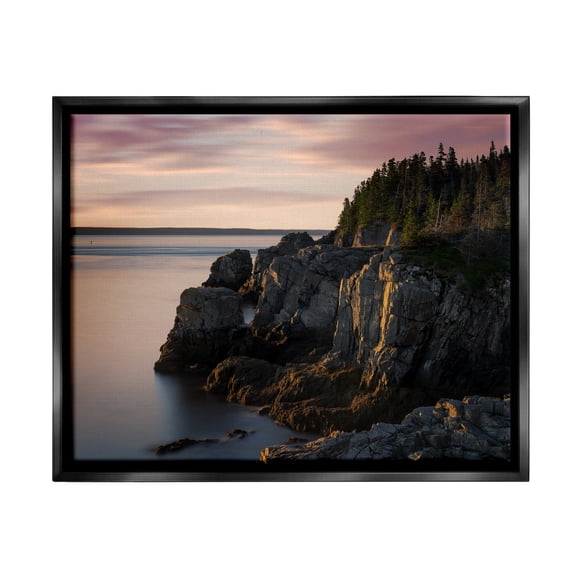 Stupell Rocky Cliff Seaside Nature Landscape Photography Black Floater Framed Art Print Wall Art