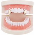 thumbnail image 1 of HAHDAXIA 2 Pcs Iced Out Teeth Grillz for Hip Hop Grills for Your Teeth Top and Bottom, Rapper Costume Cosplay Teeth Jewelry and Accessories - for Photo Video Shoots, Clubbing, 1 of 1