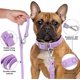 thumbnail image 2 of Waterproof Dog Leash: Standard Dog leashes with 2 Hooks for Walking, Adjustable Lengths, Durable and Odor Proof (Lilac,L 1 in 6 ft), 2 of 4