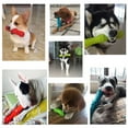 thumbnail image 3 of Dog Toys Squeaking Stick Floatable Springy Suitable for Tossing and Chasing Very Soft Pet Toy 2 Sizes Available S green and L blue Size, 3 of 6