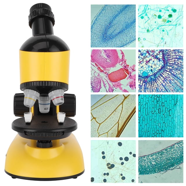 Microscope, 40x-1200x Enfants Microscope, Microscope Petit Microscope avec 360 Rotation Tête Jouet Éducatif pour les Débutants