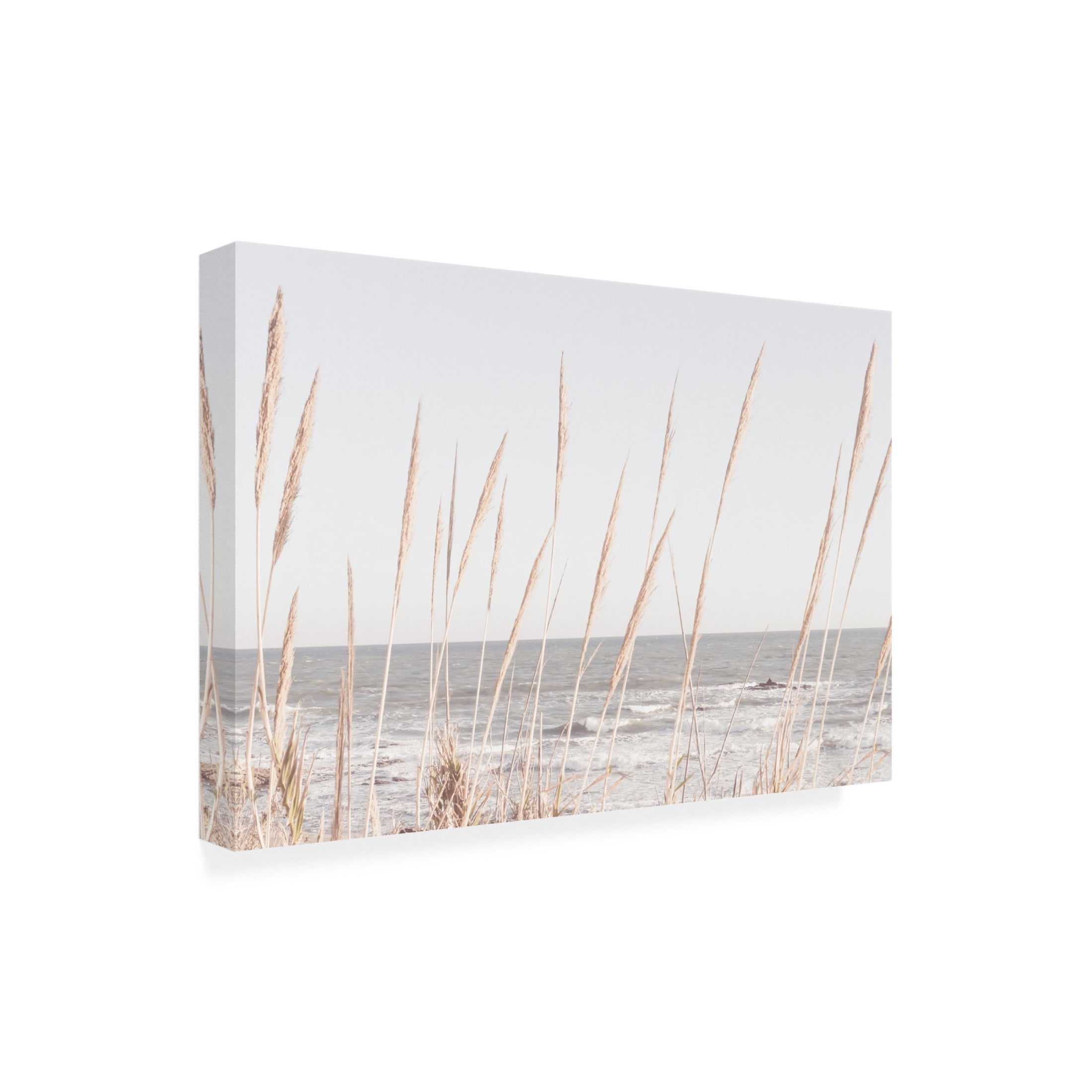 Trademark Fine Art Pictufy Studio Beach Vass 002 Canvas Wall Art