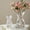 B, variant on syligr Clear Glass Desktop Vase Folded Shape Hydroponic Planter for Living Room Office Creative Home Decor Accent Artistic Glass Vase 8 Inch for Flowers or Plants