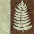 thumbnail image 2 of Kristin Emery 36x36 Gallery Wrapped Canvas Wall Art Titled - Fern I, 2 of 4