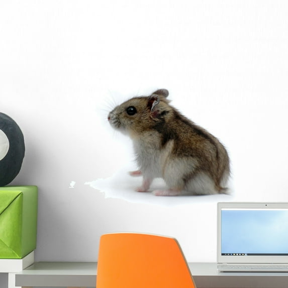 Hamster Wall Decal by Wallmonkeys Peel and Stick Graphic (18 in W x 16 in H) WM173873