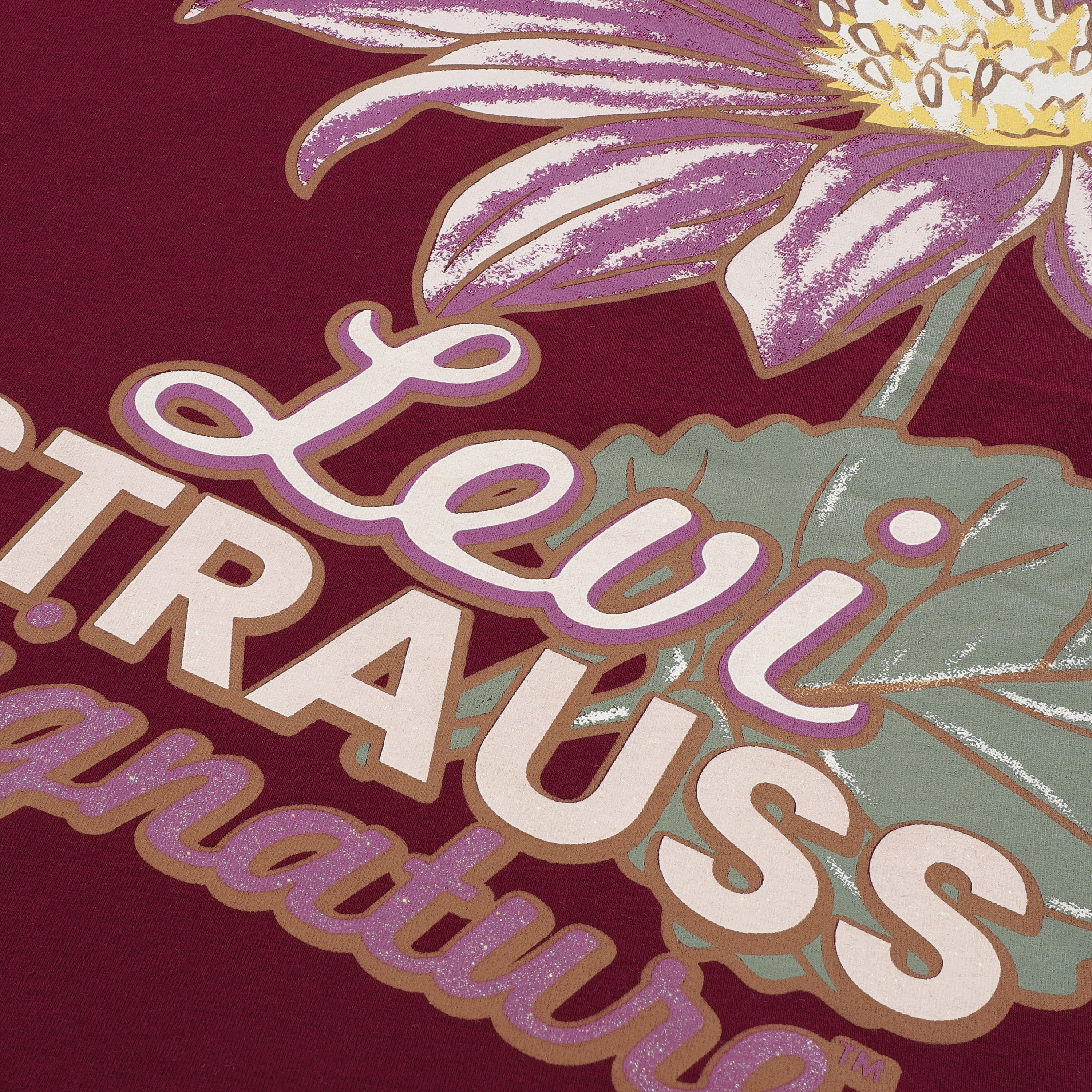 Levi Strauss Signature Girls Short Sleeve Graphic Tee, Size 4-16
