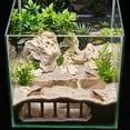 thumbnail image 4 of FastXmas Aquarium Underground Tunnel Cave Natural Curve Two Hole Viewing Fish & Shrimp Under Gravel Tunnel Fish Tank Decoration Hideout Perfect for Corydora Catfish, Kuhli Loach,Pleco(Yellow), 4 of 6