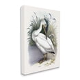 thumbnail image 3 of Stupell Industries White Pelican Bird Preening Grassy Riverbank Shore Painting Gallery Wrapped Canvas Print Wall Art, Design by Piddix, 3 of 7