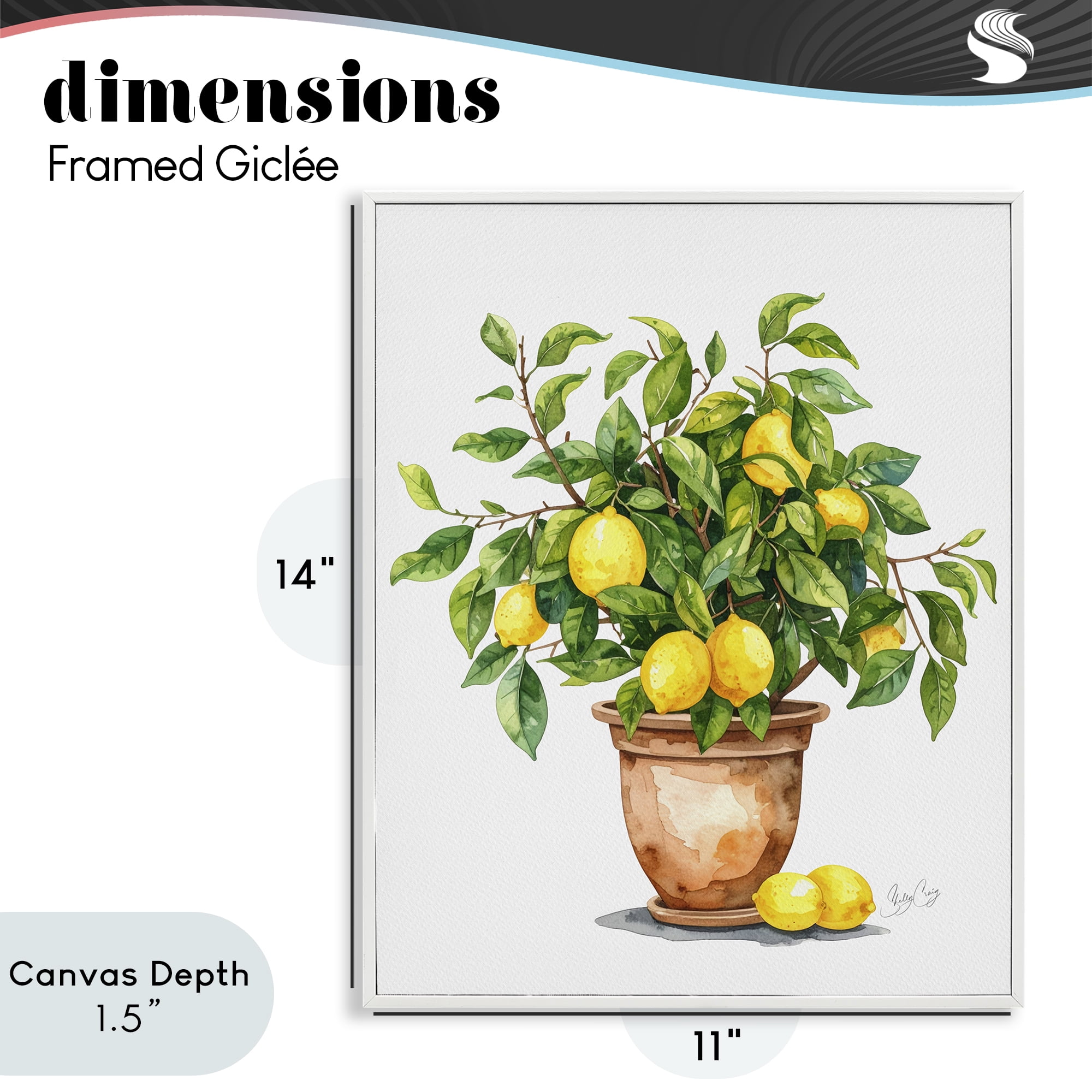 Stupell Industries Potted Lemon Tree White Framed Giclee Art, design by Shelly Craig