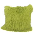 thumbnail image 1 of HomeRoots 334388 Lime Tibetan Lamb Pillow, 1 of 1