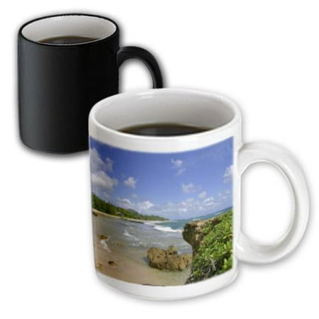 3dRose Gateway Arch, St Louis, Mississippi River, Missouri - US26 CHA0012 - Chuck Haney, Magic Transforming Mug, 11oz