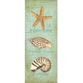 thumbnail image 2 of Reed, Tara 8x14 Black Ornate Wood Framed with Double Matting Museum Art Print Titled - Oceanum Shell Panel Green II, 2 of 4